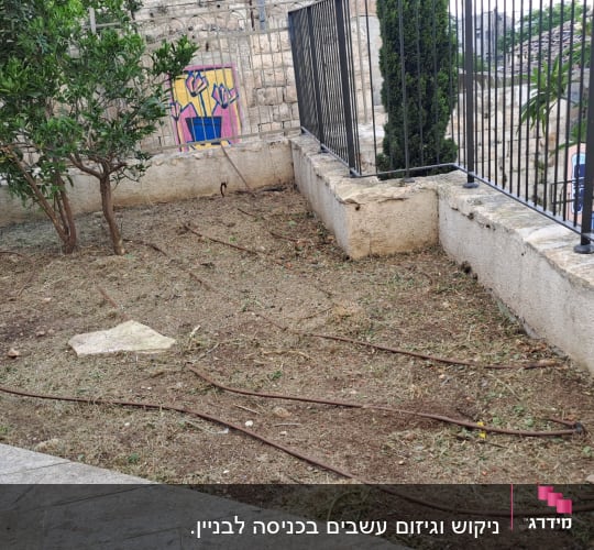 אדמה עם צינורות השקיה ועץ קטן בגינה